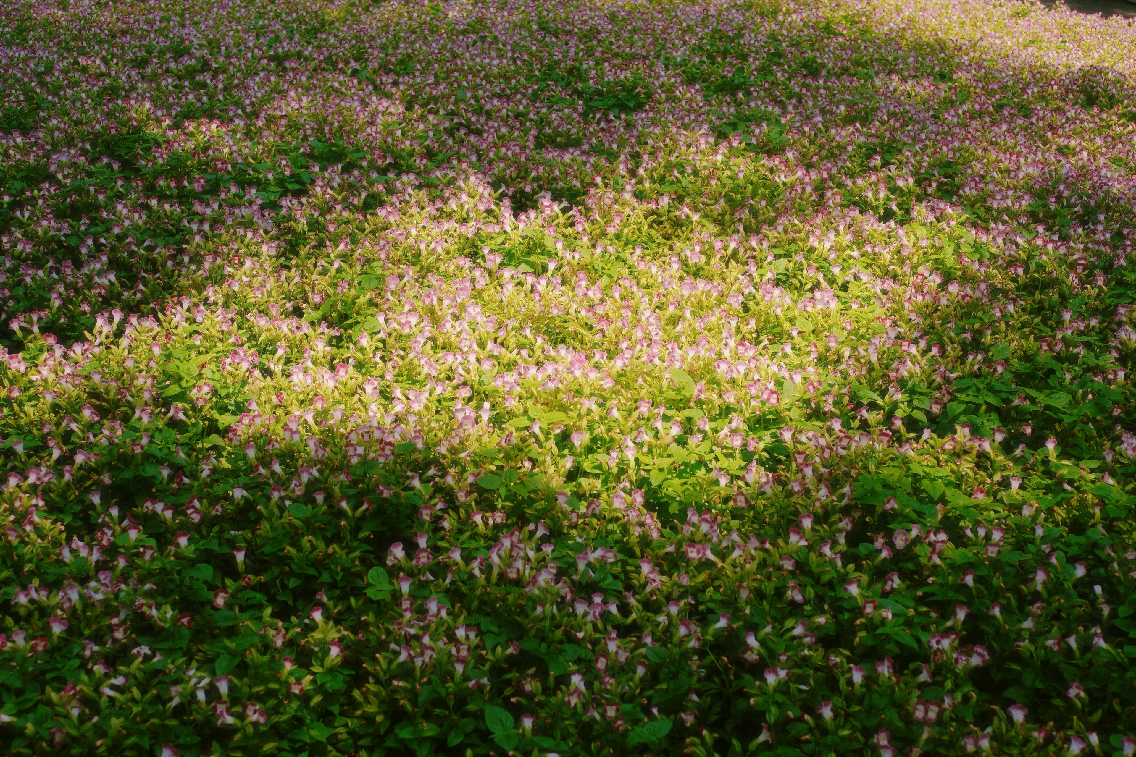 25 (2) from the seasons photography series.